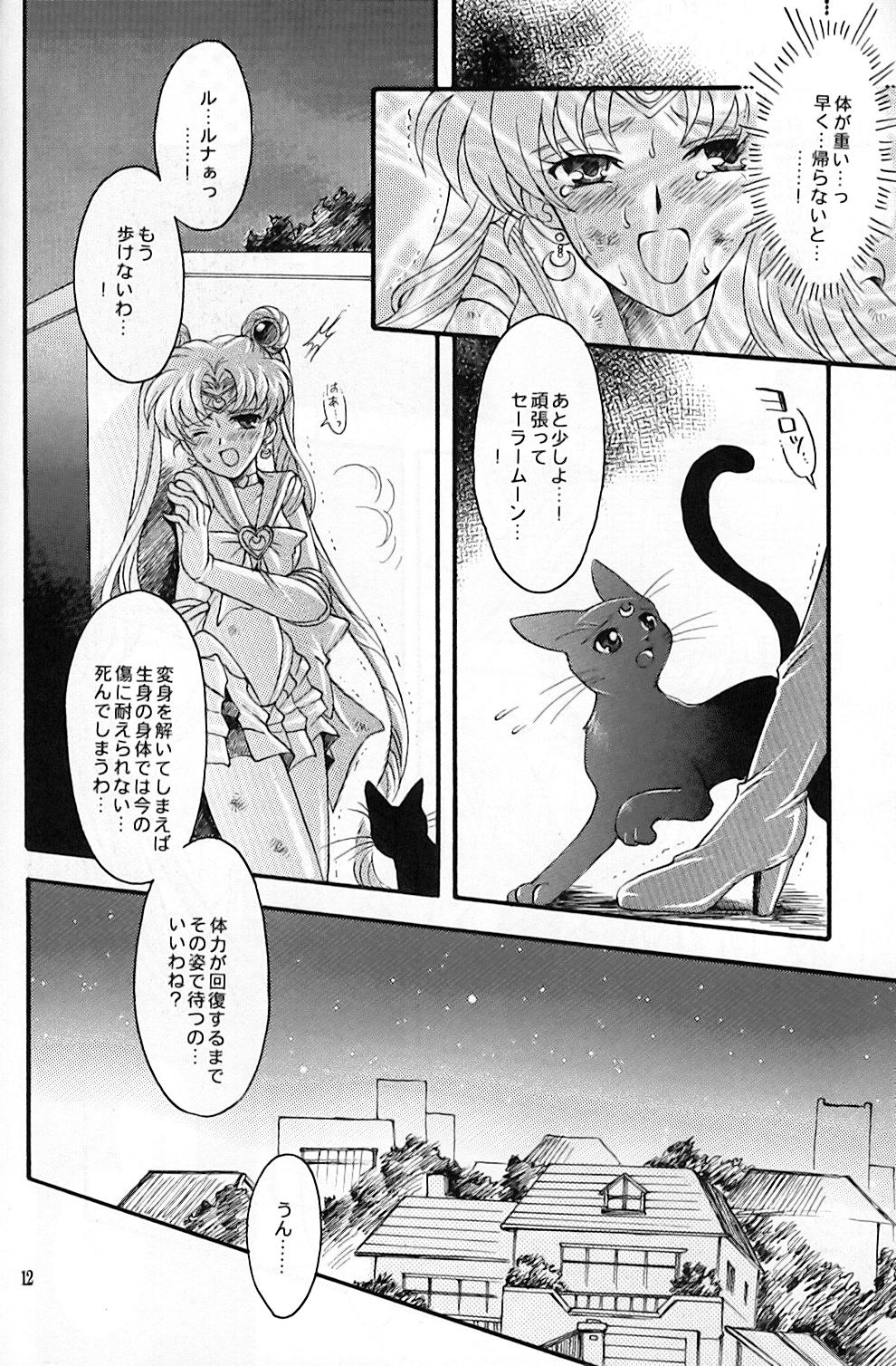 (C67) [Kotori Jimusho (Sakura Bunchou)] chanson de I'adieu (Sailor Moon) page 13 full