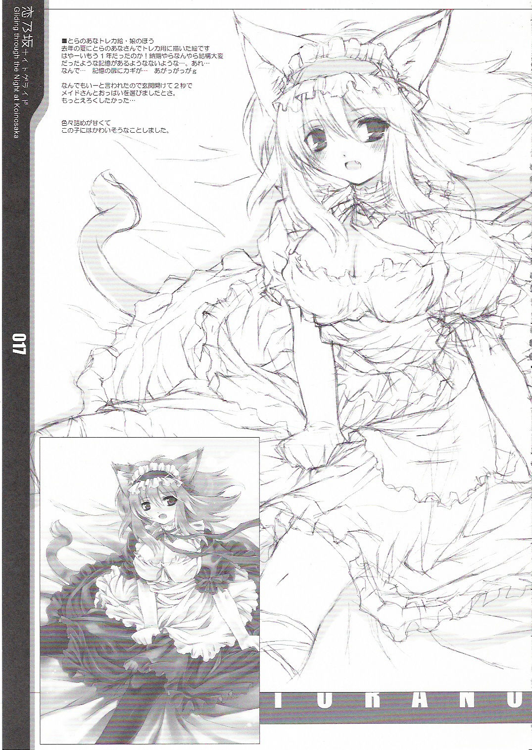[Douganebuibui] Gliding through the Night at Koinosaka ( Touhou Project ) page 17 full