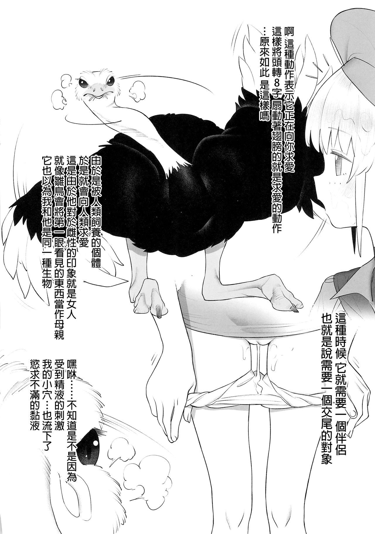 (SC2018 Autumn) [zero-sen (xxzero)] Tori no Kimochi Ii [Chinese] [沒有漢化] page 9 full