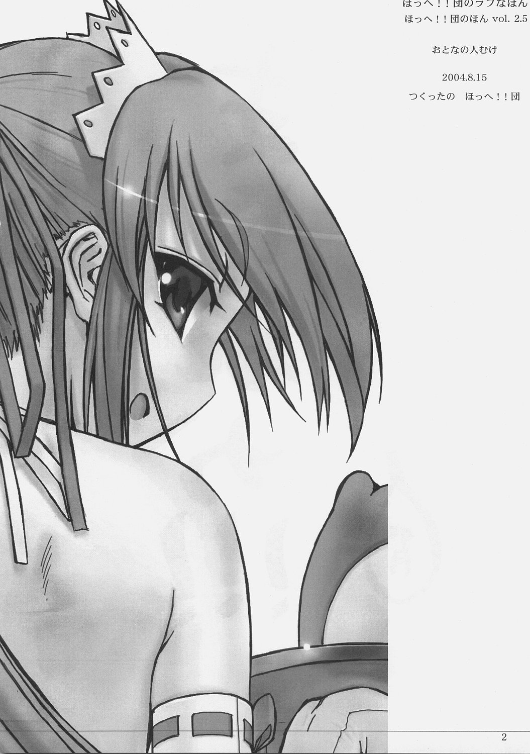 [Hohhe!! Dan (Inu)] Hohhe!! Dan no Rough na Hon vol. 2.5 page 3 full