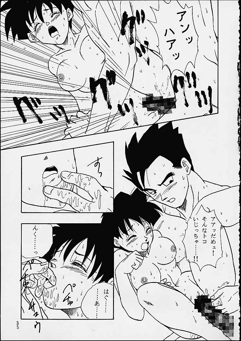 (C49) [Chirigami Goya / Fusuma Goten] Z (Dragonball) page 35 full