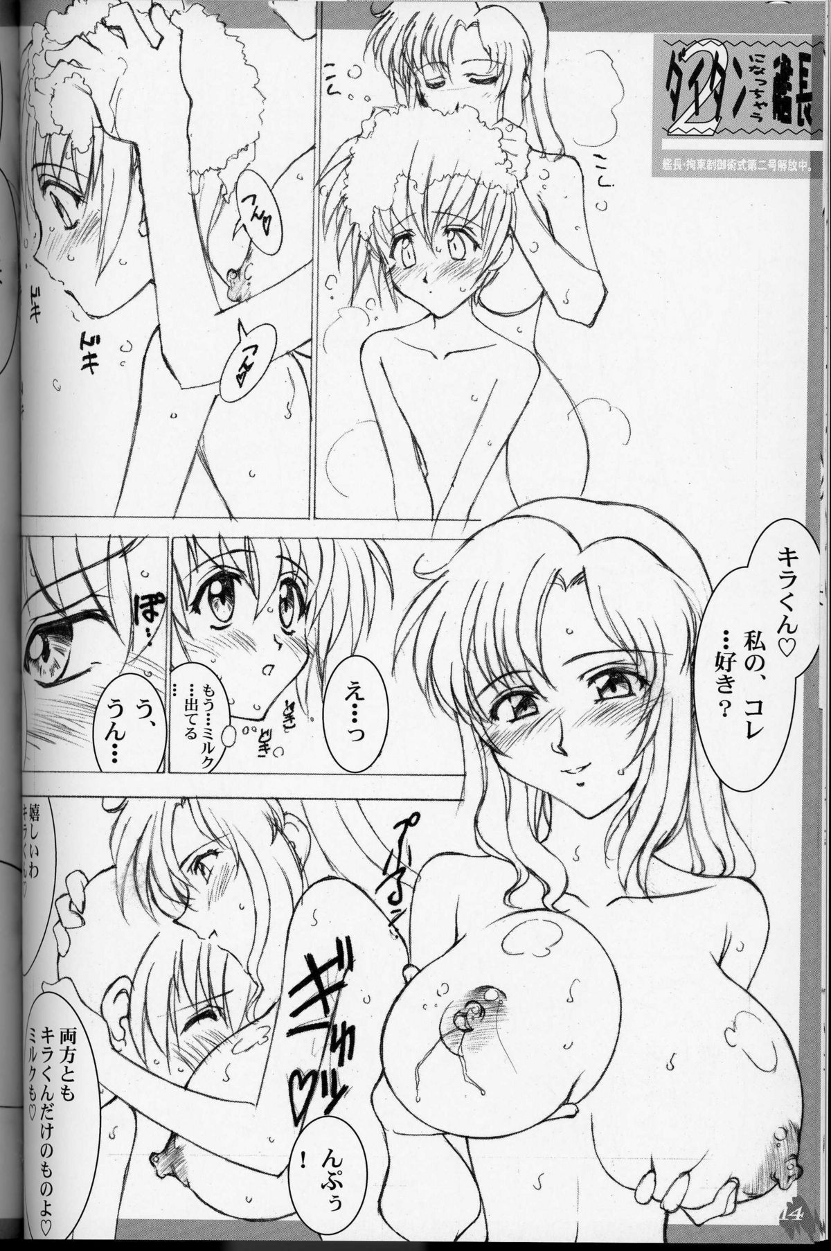 (C64) [LUCK&PLUCK! (Amanomiya Haruka)] MaryuKira Machine (Gundam SEED) page 13 full