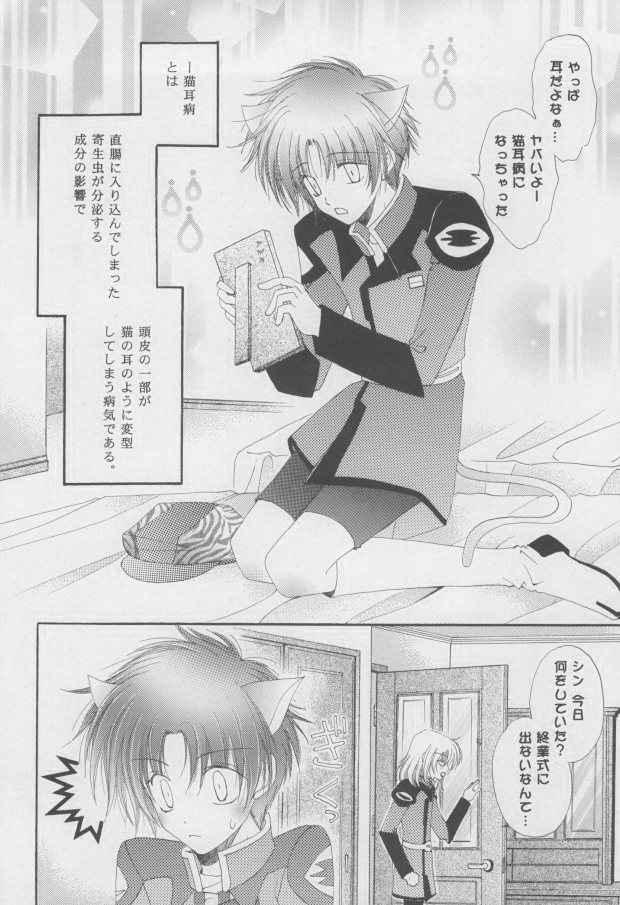 (C68) [Mutsuharu (Kagami Haruki)] Nekomimi Zouryouchuu (Gundam SEED DESTINY) [Incomplete] page 3 full