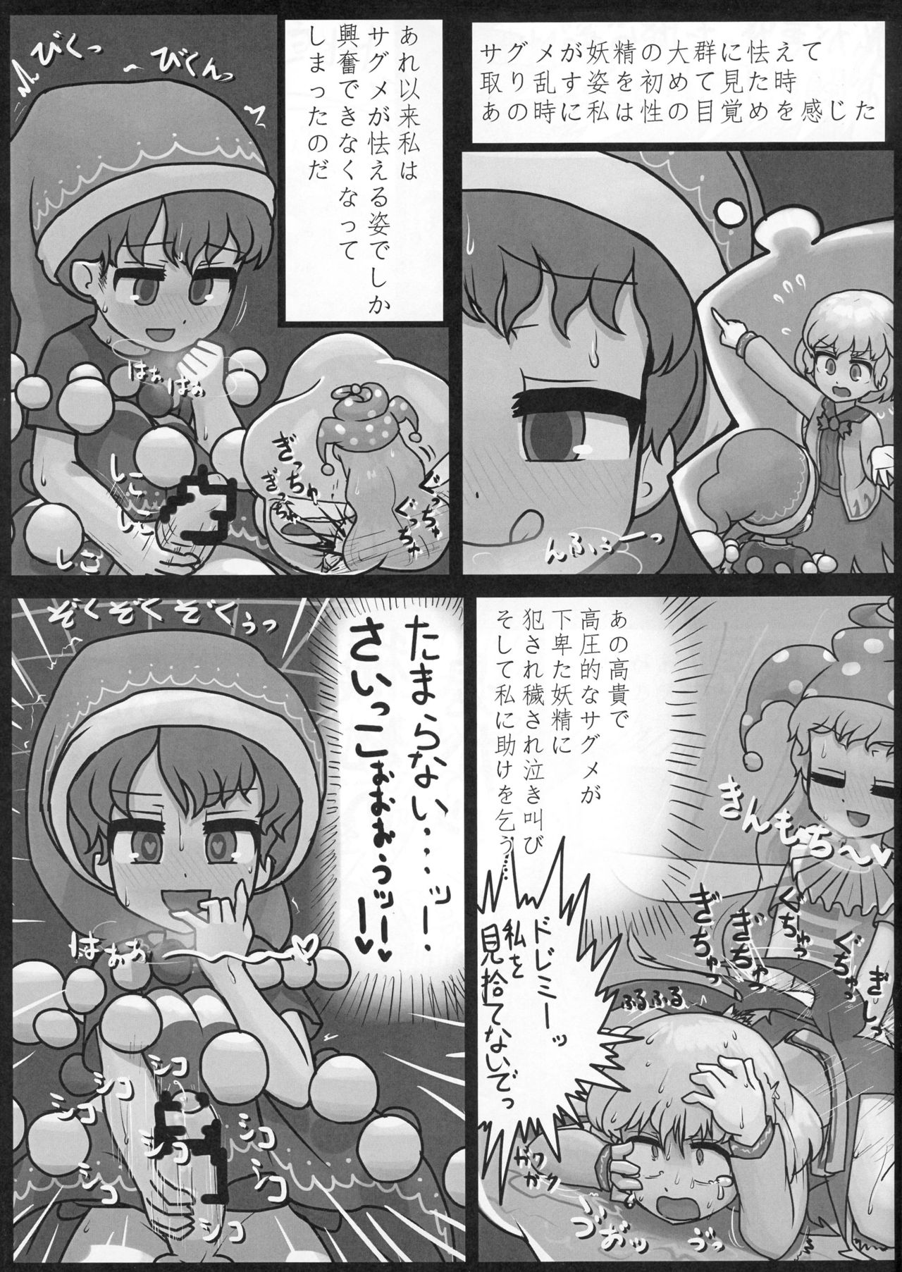 (Reitaisai 13) [Ninniku Batake (Ninniku)] Sagishi (Touhou Project) page 13 full