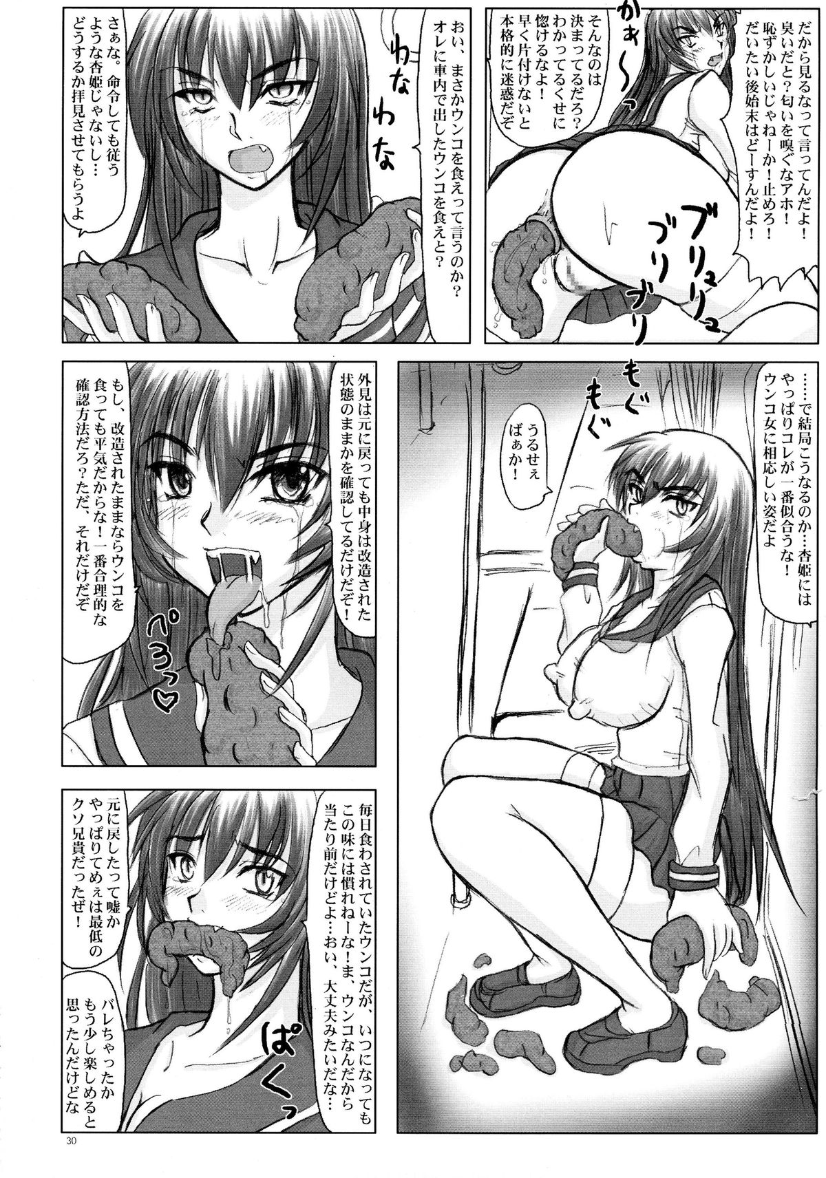 (C67) [Nozarashi (Nozarashi Satoru)] Kyouhime-sama Chijoku Kutsujoku Gojuuyon Renpatsu! page 30 full