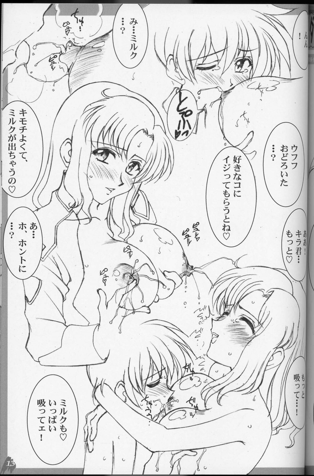 (C64) [LUCK&PLUCK! (Amanomiya Haruka)] MaryuKira Machine (Gundam SEED) page 12 full